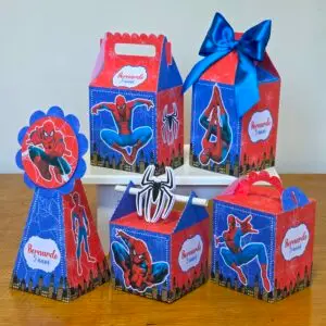 FESTA - HOMEM ARANHA