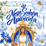 Coleção - Nossa Senhora Aparecida ( Avião Sem Asa )